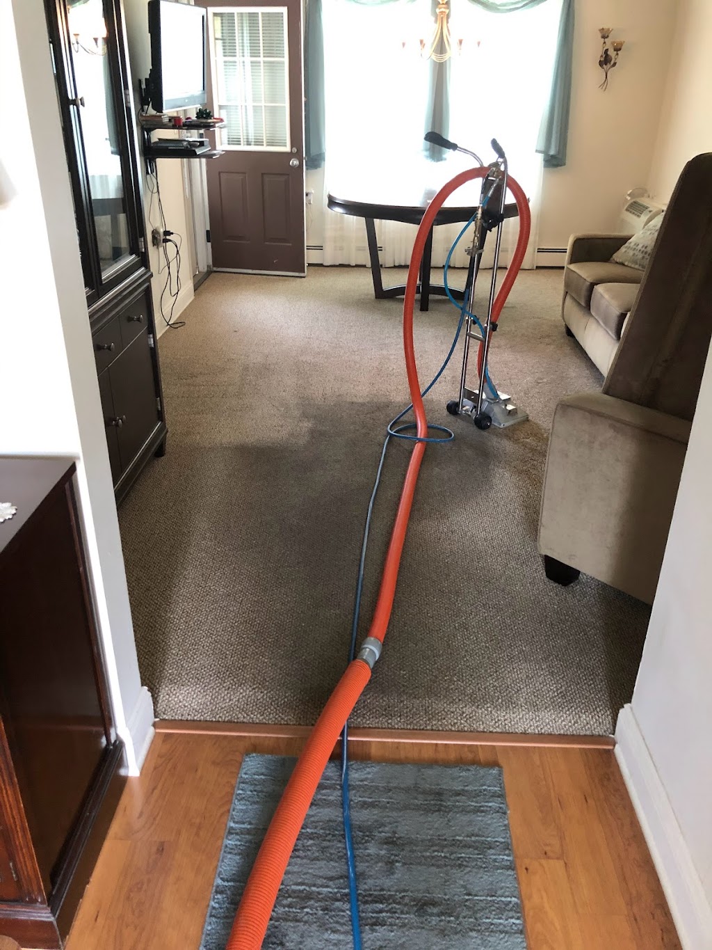 A1 Carpet Cleaning | 12 Ponderosa Trail, Sparta Township, NJ 07871 | Phone: (732) 807-1295
