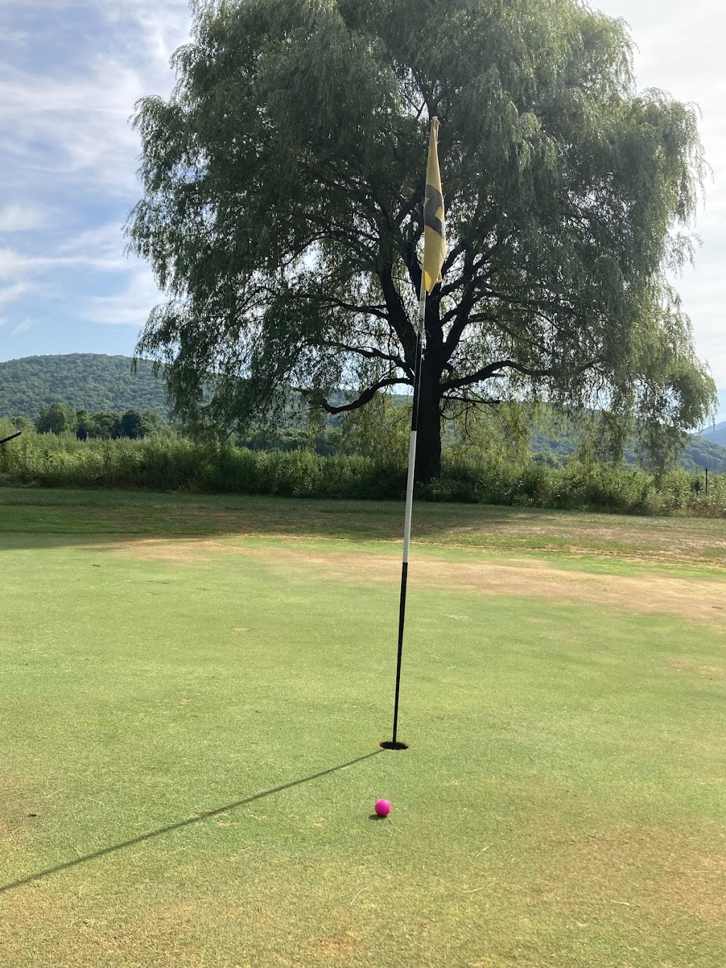 The Meadows Golf Center and All American BBQ | 42565 NY-28, Margaretville, NY 12455 | Phone: (845) 586-4104