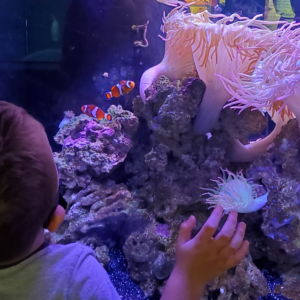 Jenkinsons Aquarium | 300 Ocean Ave N, Point Pleasant Beach, NJ 08742 | Phone: (732) 899-1212