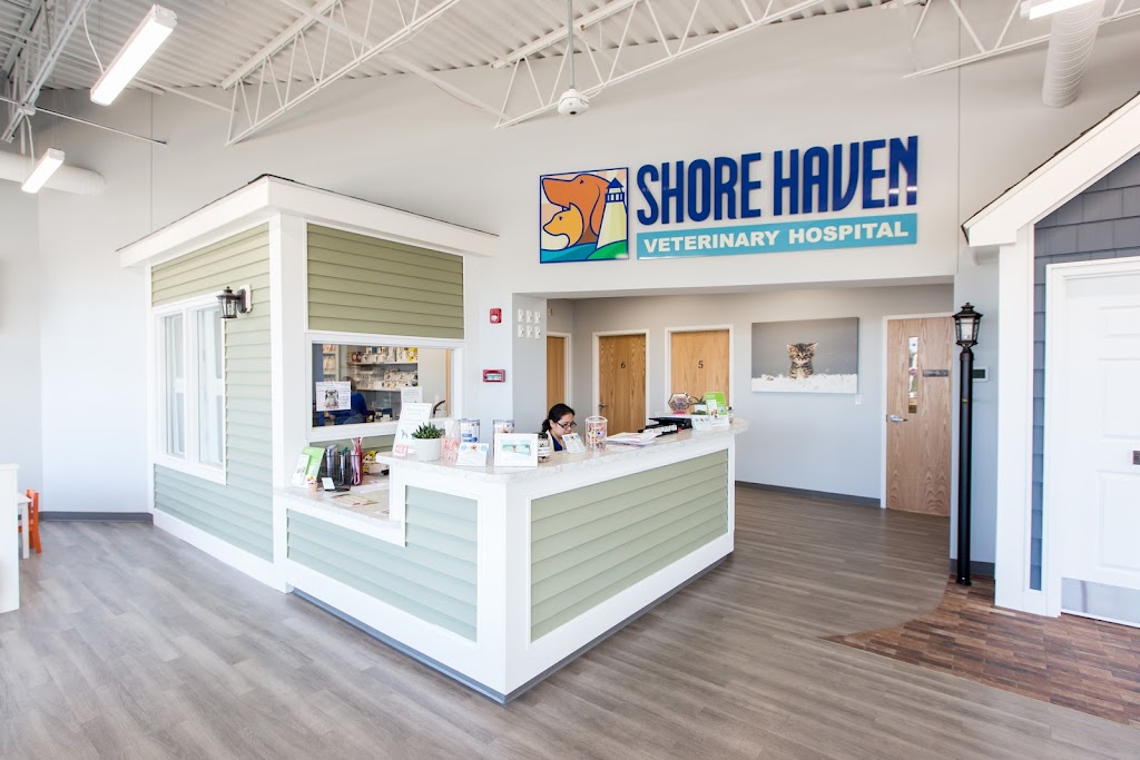 Shore Haven Veterinary Hospital | 47 Frontage Rd, East Haven, CT 06512 | Phone: (203) 469-6531