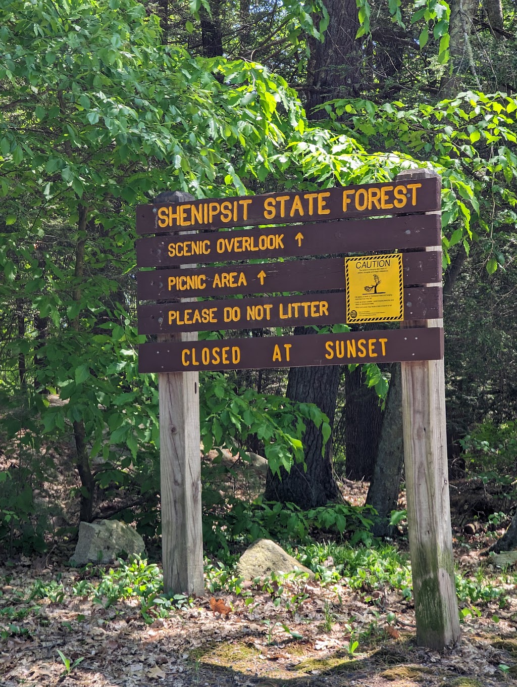 Shenipsit State Forest | 166 Chestnut Hill Rd, Stafford Springs, CT 06076 | Phone: (860) 684-3430