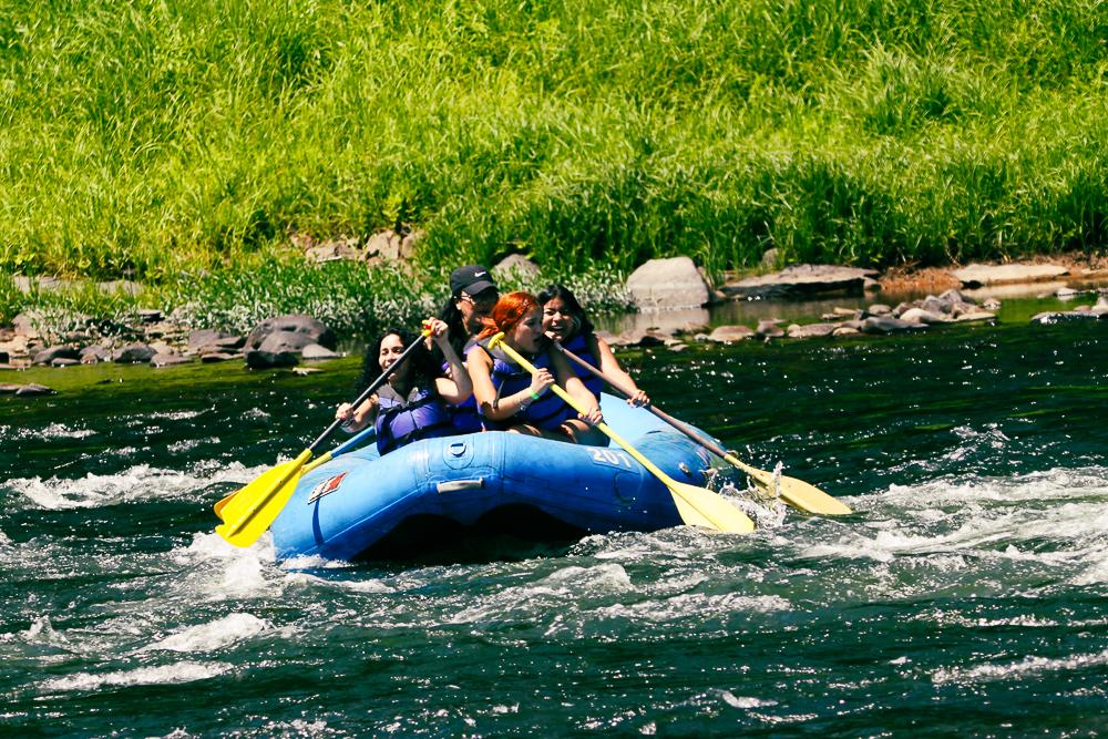 Narrowsburg Campground (Landers River Trips) | 69 De Mauro Ln, Narrowsburg, NY 12764 | Phone: (800) 252-3925