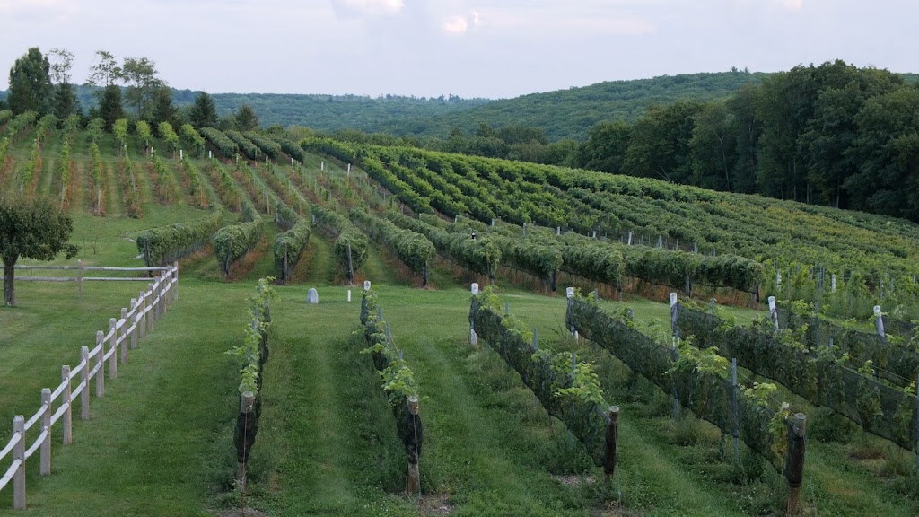 Sunset Meadow Vineyards | 599 Old Middle St, Goshen, CT 06756 | Phone: (860) 201-4654