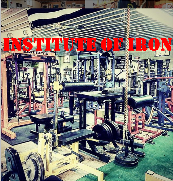 INSTITUTE OF IRON | 358 Jubinsky Rd, Waymart, PA 18472 | Phone: (570) 493-1566