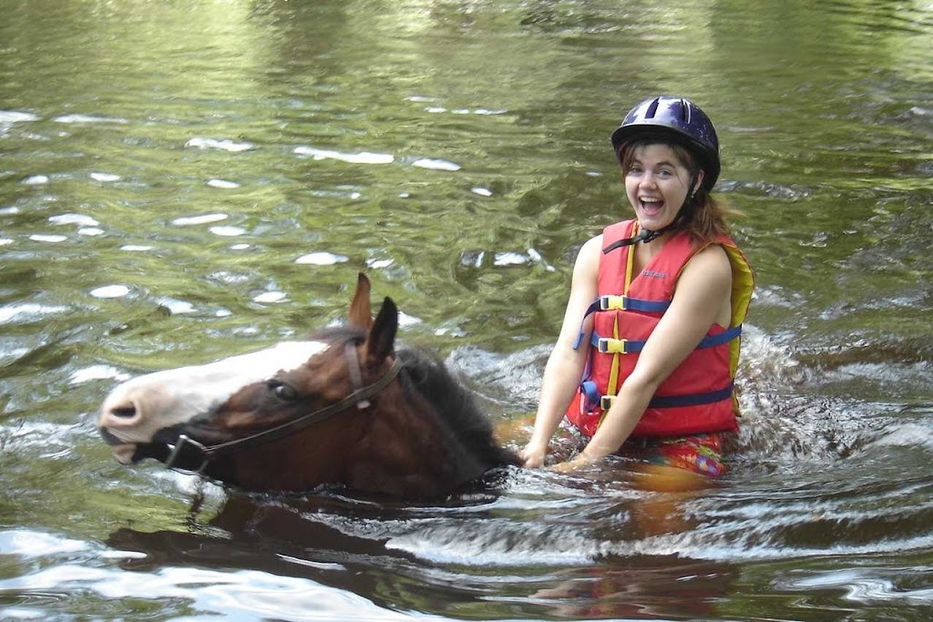 SJ Riding Camp | 130 Sandy Beach Rd, Ellington, CT 06029 | Phone: (860) 872-4742