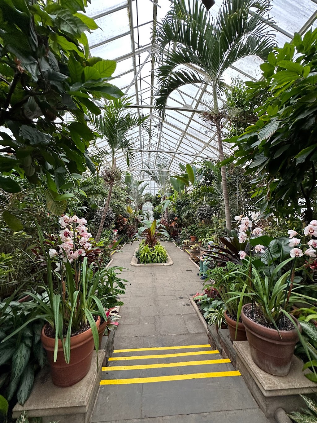 Main Greenhouse / Hibiscus House, Planting Fields Arboretum | Oyster Bay, NY 11771 | Phone: (516) 922-9200