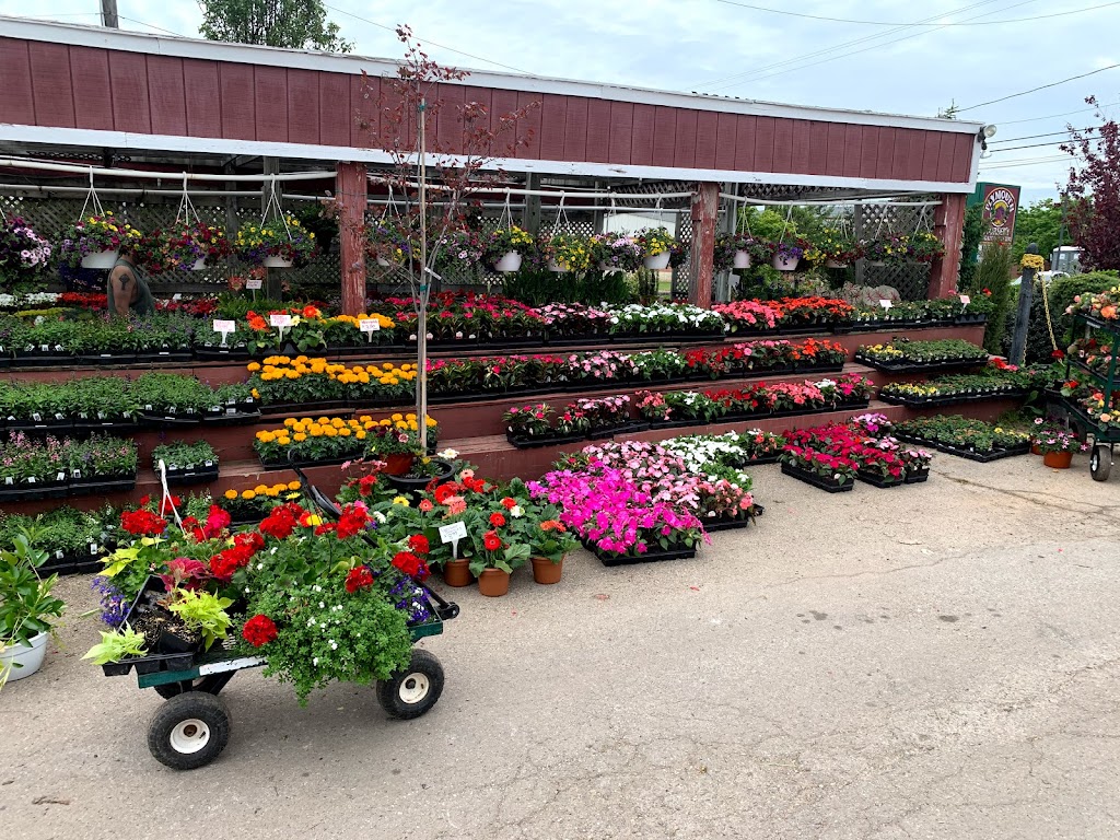 A. Piazza Nursery & Landscape Solutions | 1043 Belvoir Rd, Plymouth Meeting, PA 19462 | Phone: (610) 639-8230