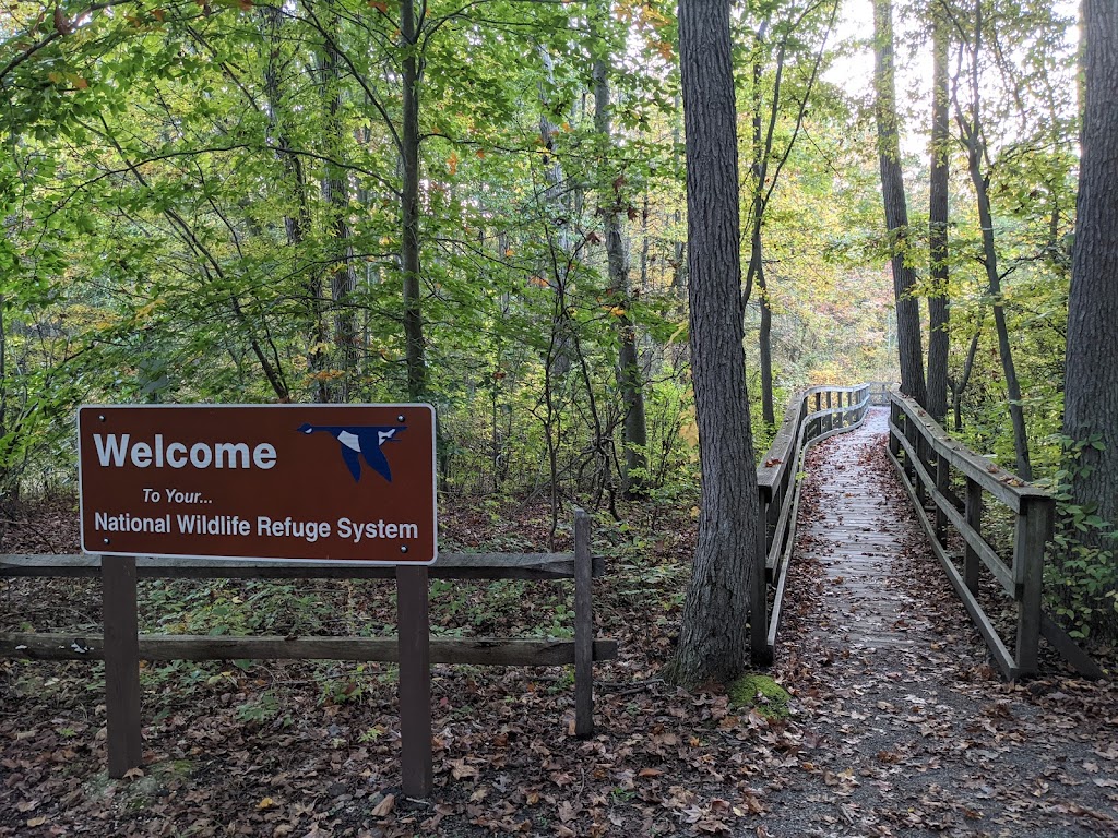 Great Swamp National Wildlife Refuge | 32 Pleasant Plains Rd, Basking Ridge, NJ 07920 | Phone: (973) 425-1222