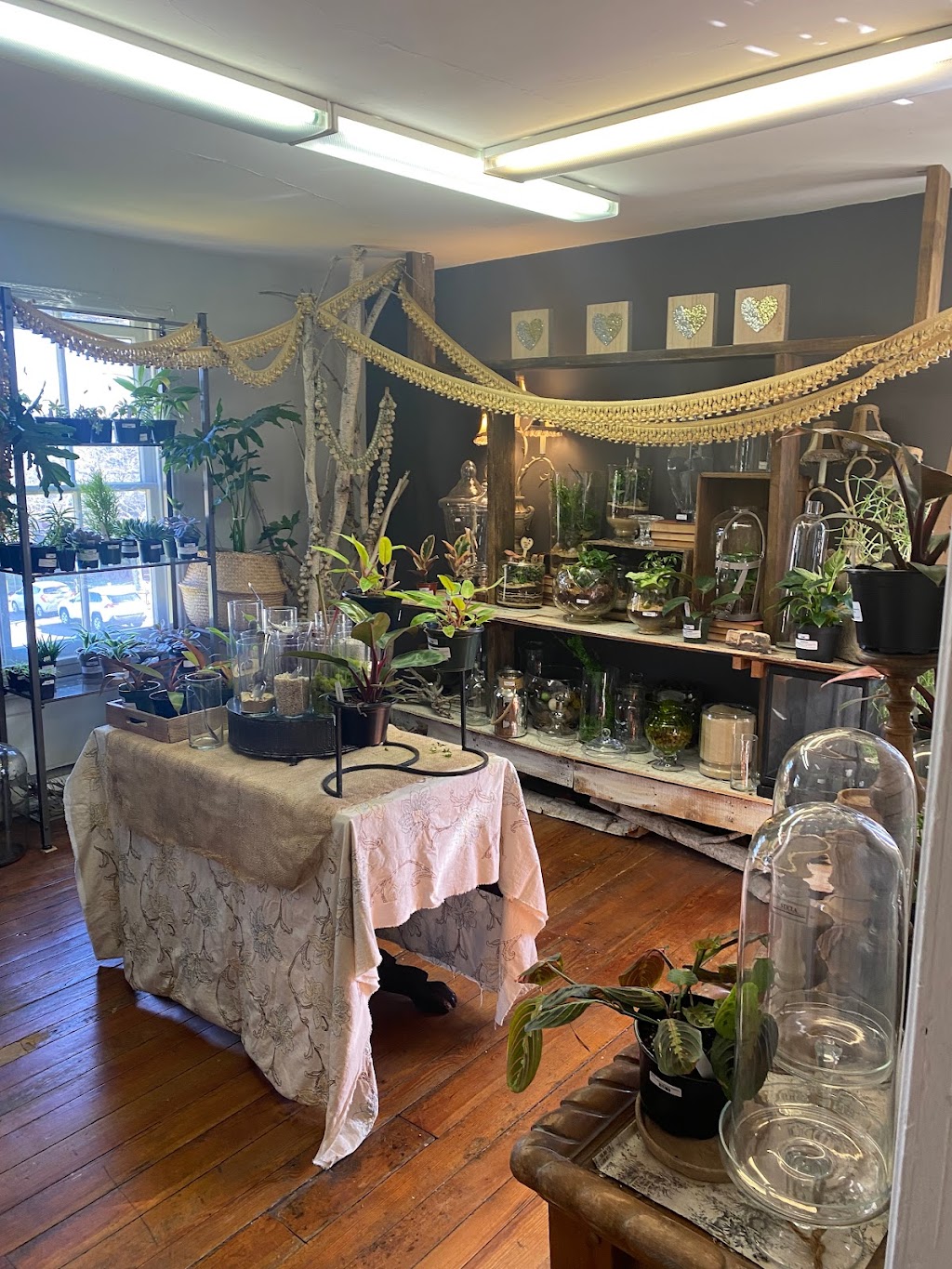 Greenology Organic Living | 2449 Street Rd shop 23 a, New Hope, PA 18938 | Phone: (267) 668-6621