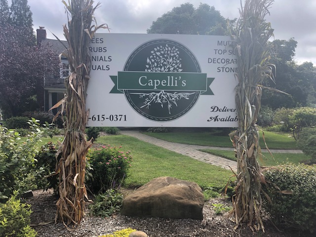 Capelli Farms LLC | 15 Kanes Ln, Middletown Township, NJ 07748 | Phone: (732) 615-0371