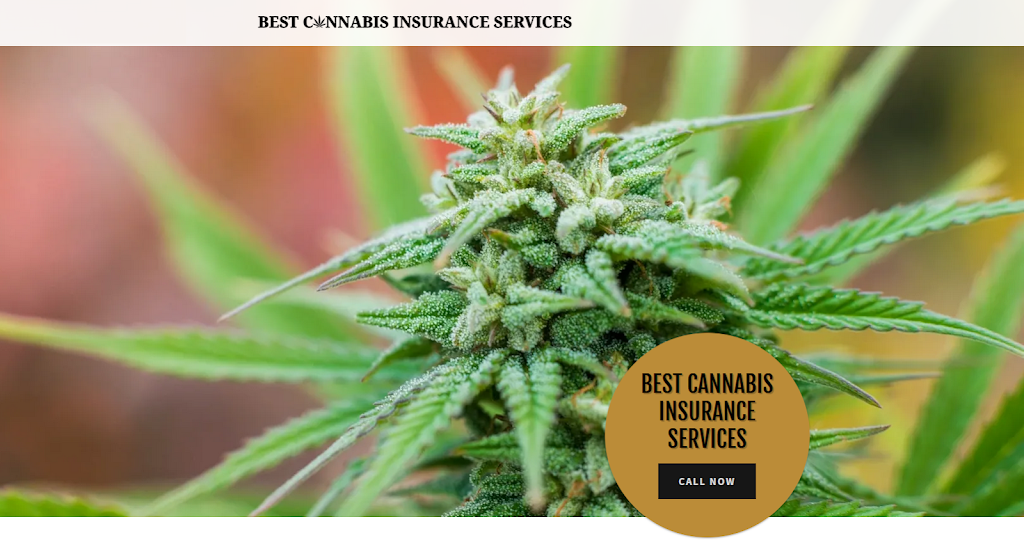 Best Cannabis Insurance Services | 26 Columbia Turnpike #103, Florham Park, NJ 07932 | Phone: (973) 845-6004