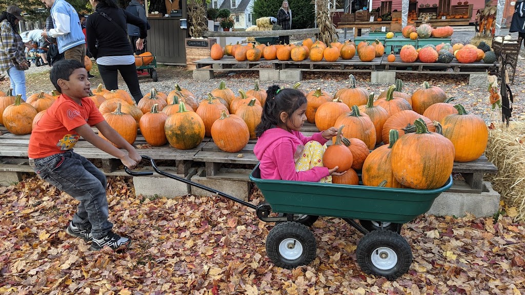 Silver Bell Farm | 305 Silver St, Monson, MA 01057 | Phone: (413) 596-4370