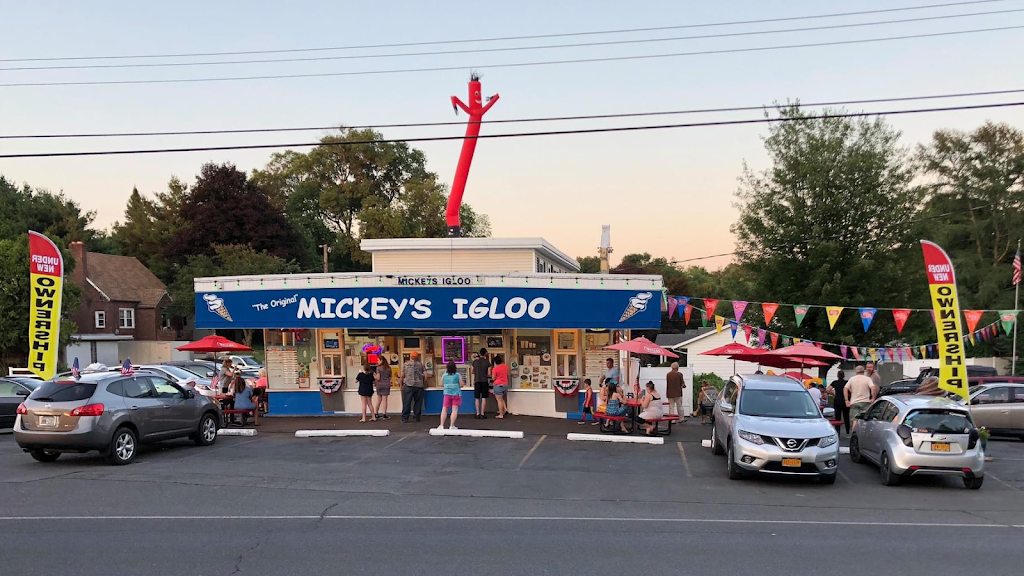 Mickeys Igloo | 416 E Chester St, Kingston, NY 12401 | Phone: (845) 802-0201