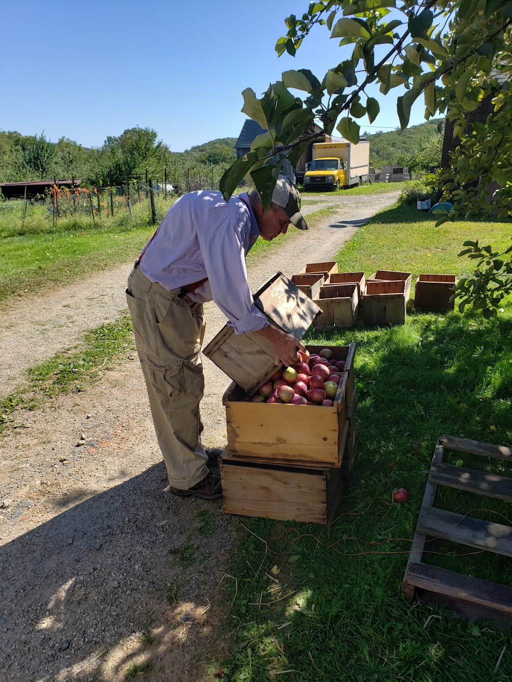 Nestrovich Fruit Farm | 561 Main Rd, Granville, MA 01034 | Phone: (413) 357-8520