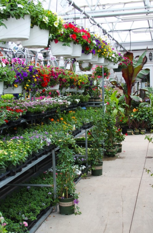 Halls Garden Center & Florist | 700 Springfield Ave, Berkeley Heights, NJ 07922 | Phone: (908) 665-0331