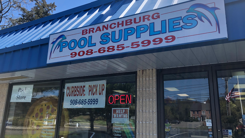 Branchburg Pool Supplies | 1035 US-202 North, Branchburg, NJ 08876 | Phone: (908) 685-5999