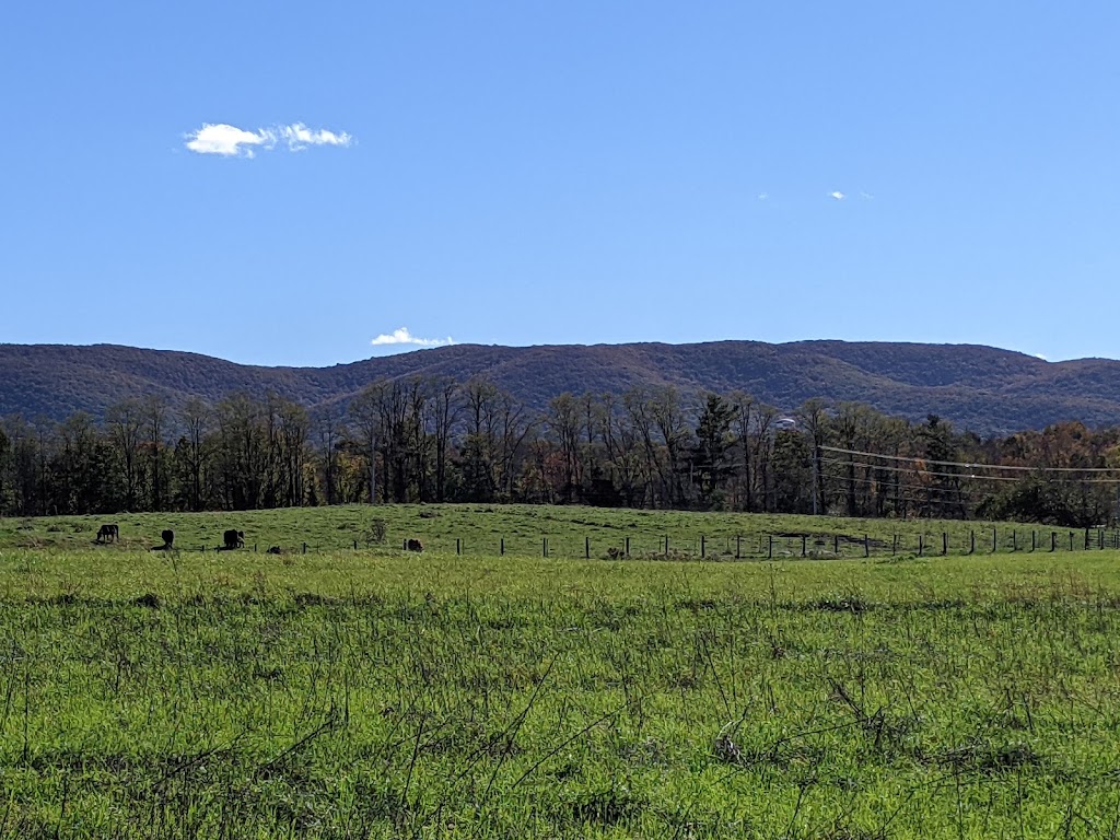 Stony Kill Farm Environmental Education Center | 79 Farmstead Ln, Wappingers Falls, NY 12590 | Phone: (845) 831-3800