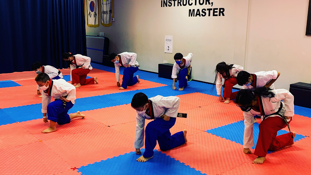 The Sky Martial Arts Taekwondo | 1200 Welsh Rd Suite K, North Wales, PA 19454 | Phone: (267) 222-8807