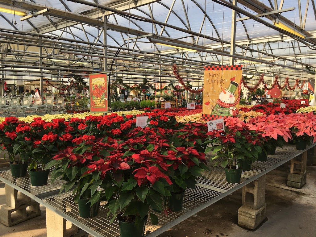 Country Flower Farms | 320 Baileyville Rd, Middlefield, CT 06455 | Phone: (860) 349-3690