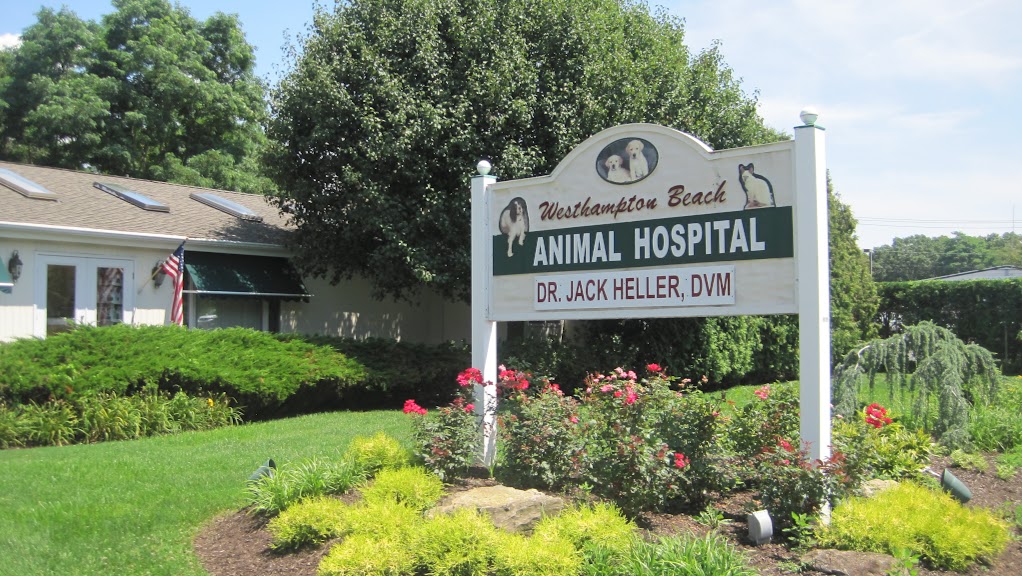 Westhampton Beach Animal Hospital | 126 Montauk Hwy, Westhampton Beach, NY 11978 | Phone: (631) 288-8535