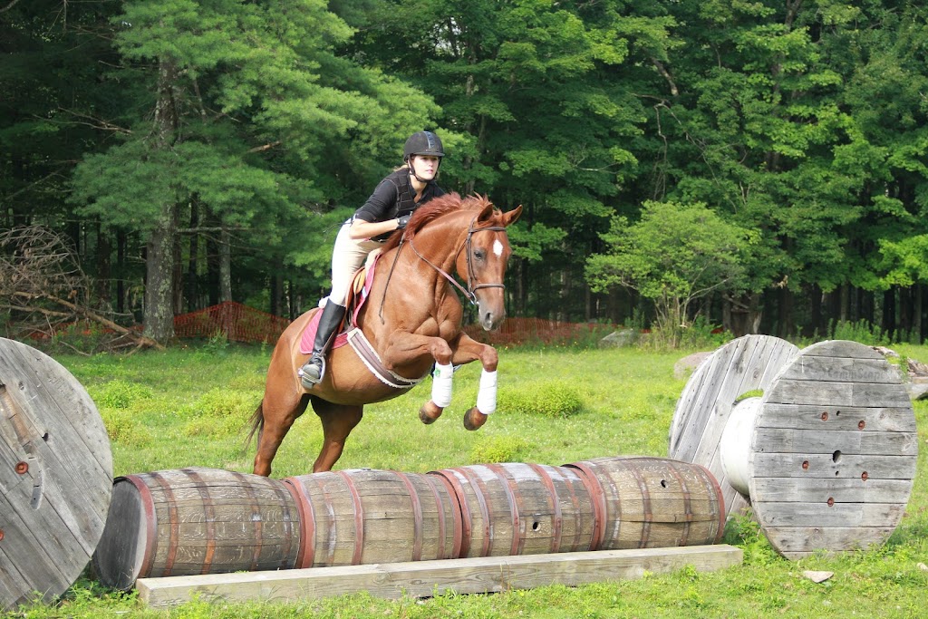 Whispering Willow Equestrian Center | 119 Indian Ln, Durham, CT 06422 | Phone: (203) 910-6119