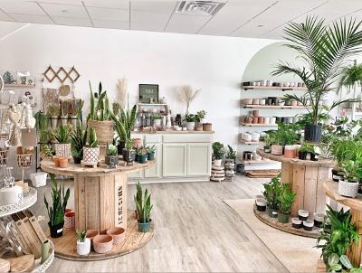 Lovely Roots Plant Shop | 256 Mantoloking Rd, Brick Township, NJ 08723 | Phone: (732) 206-6868