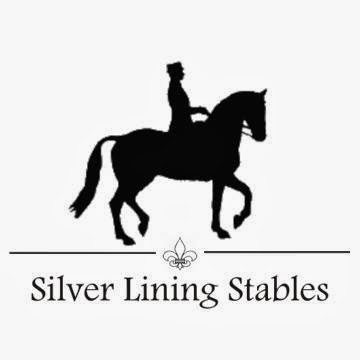 Silver Lining Stables | 38 Carmen Ln, Monroe, CT 06468 | Phone: (203) 445-6318