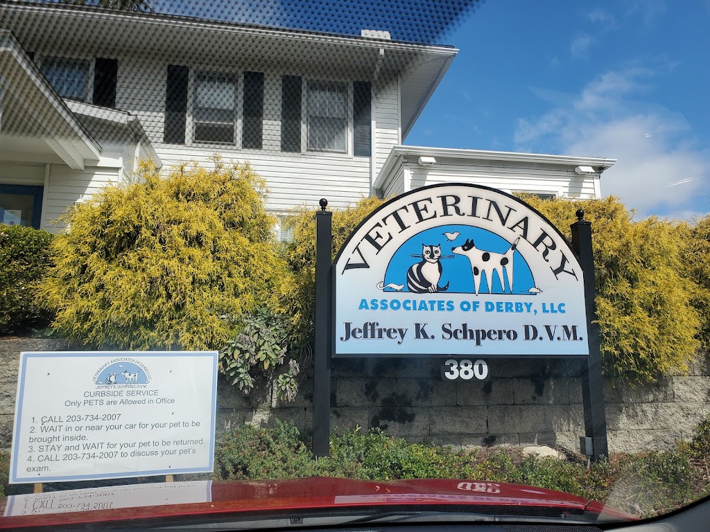 Veterinary Associates of Derby, LLC | 380 New Haven Ave, Derby, CT 06418 | Phone: (203) 734-2007