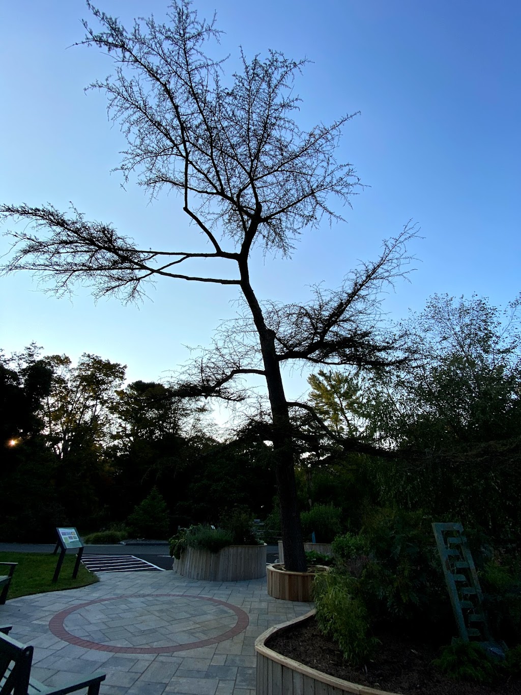 The Sensory Garden | The Homestead Building @ The Bartlett Arboretum, 107, 141 Brookdale Rd, Stamford, CT 06903 | Phone: (203) 322-6971
