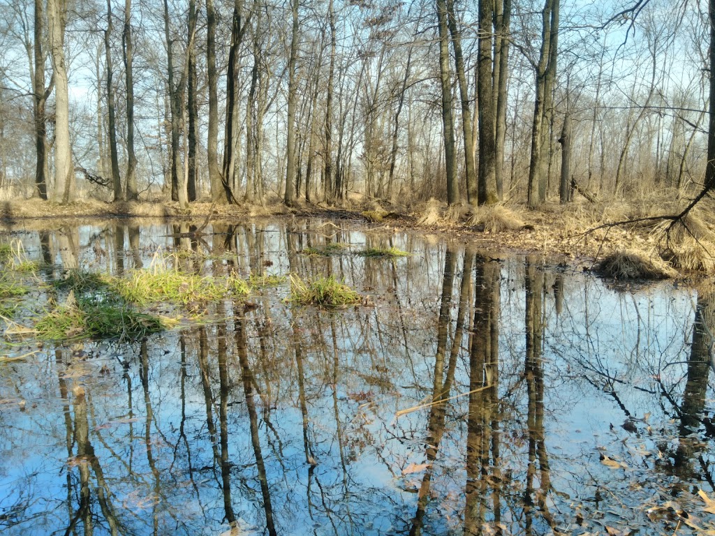 Troy Meadows Wetlands | Parsippany, NJ 07054 | Phone: (973) 887-0096