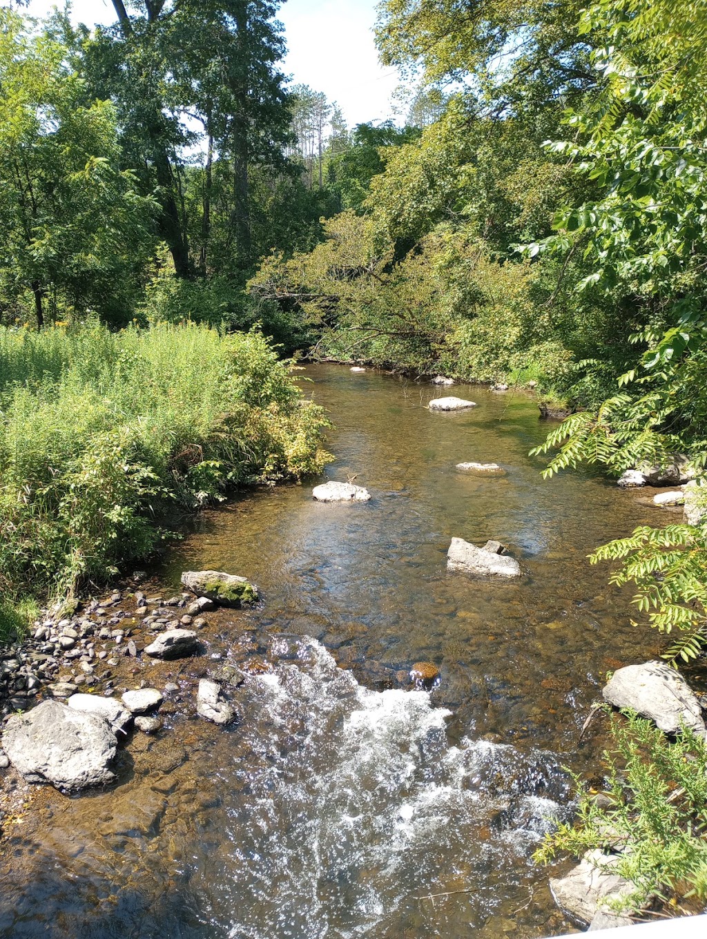 Cherry Valley National Wildlife Refuge | Stroudsburg, PA 18360 | Phone: (973) 702-7266