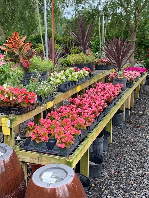 Spring House Nursery Inc | 1224 N Bethlehem Pike, Lower Gwynedd Township, PA 19002 | Phone: (215) 646-2495