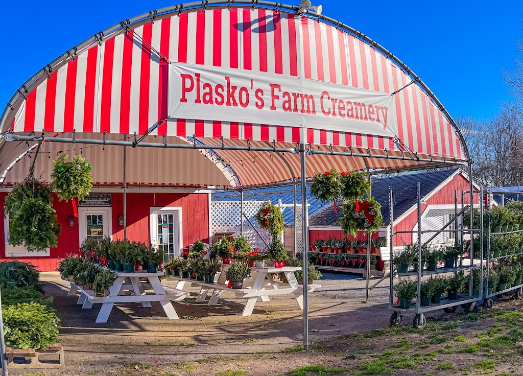 Plaskos Farm Creamery & Cafe | 670 Daniels Farm Rd, Trumbull, CT 06611 | Phone: (203) 268-2716