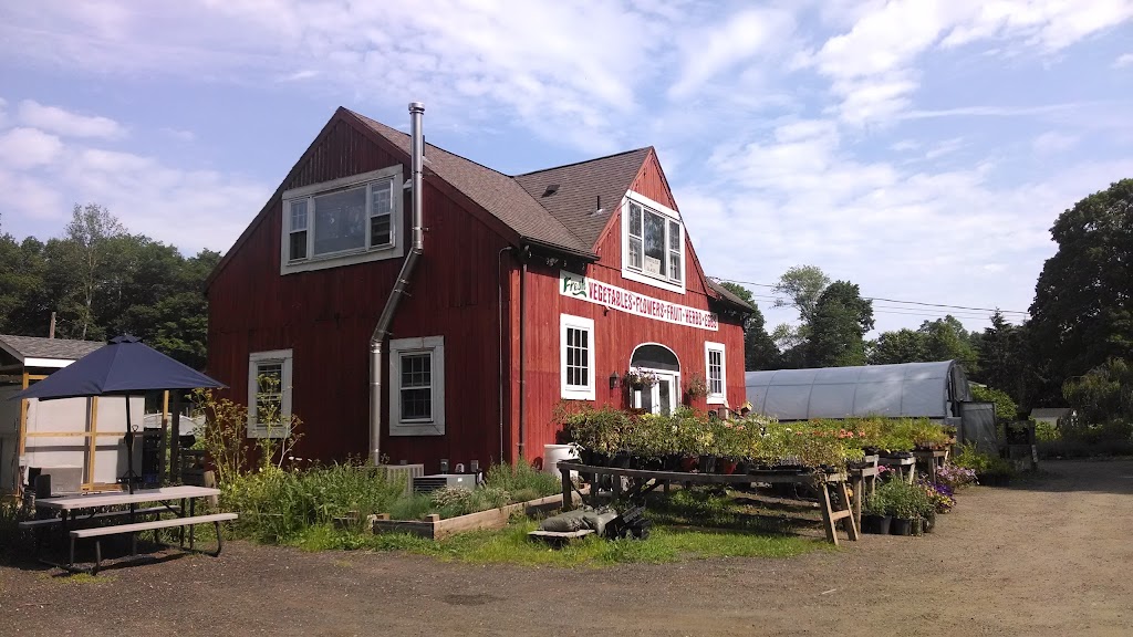 Holbrook Farm | 45 Turkey Plain Rd, Bethel, CT 06801 | Phone: (203) 792-0561