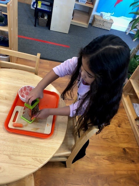 Liberty Montessori: The Place for Learning | 8 Chapel Ave, Jersey City, NJ 07305 | Phone: (201) 985-8745