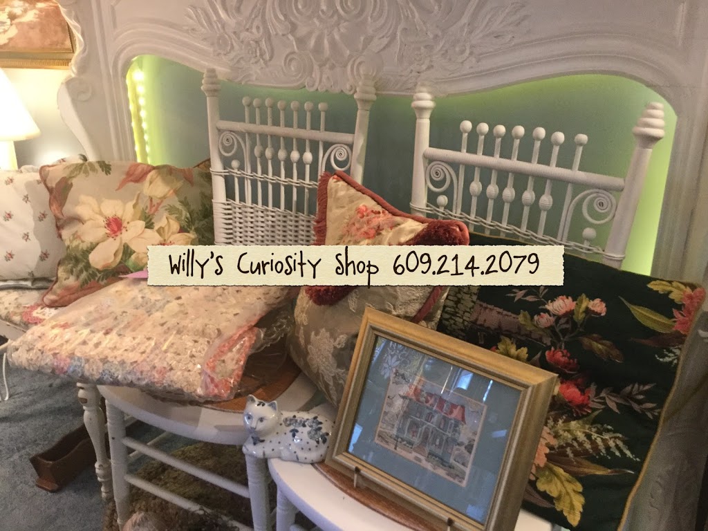 Willy’s Curiosity Shop | 2572 US-9, Ocean View, NJ 08230 | Phone: (609) 214-2079