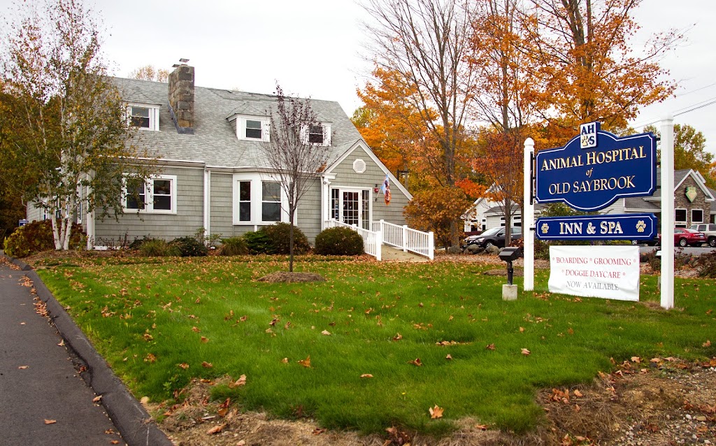 Animal Hospital of Old Saybrook | 21 Spencer Plains Rd, Old Saybrook, CT 06475 | Phone: (860) 399-6249