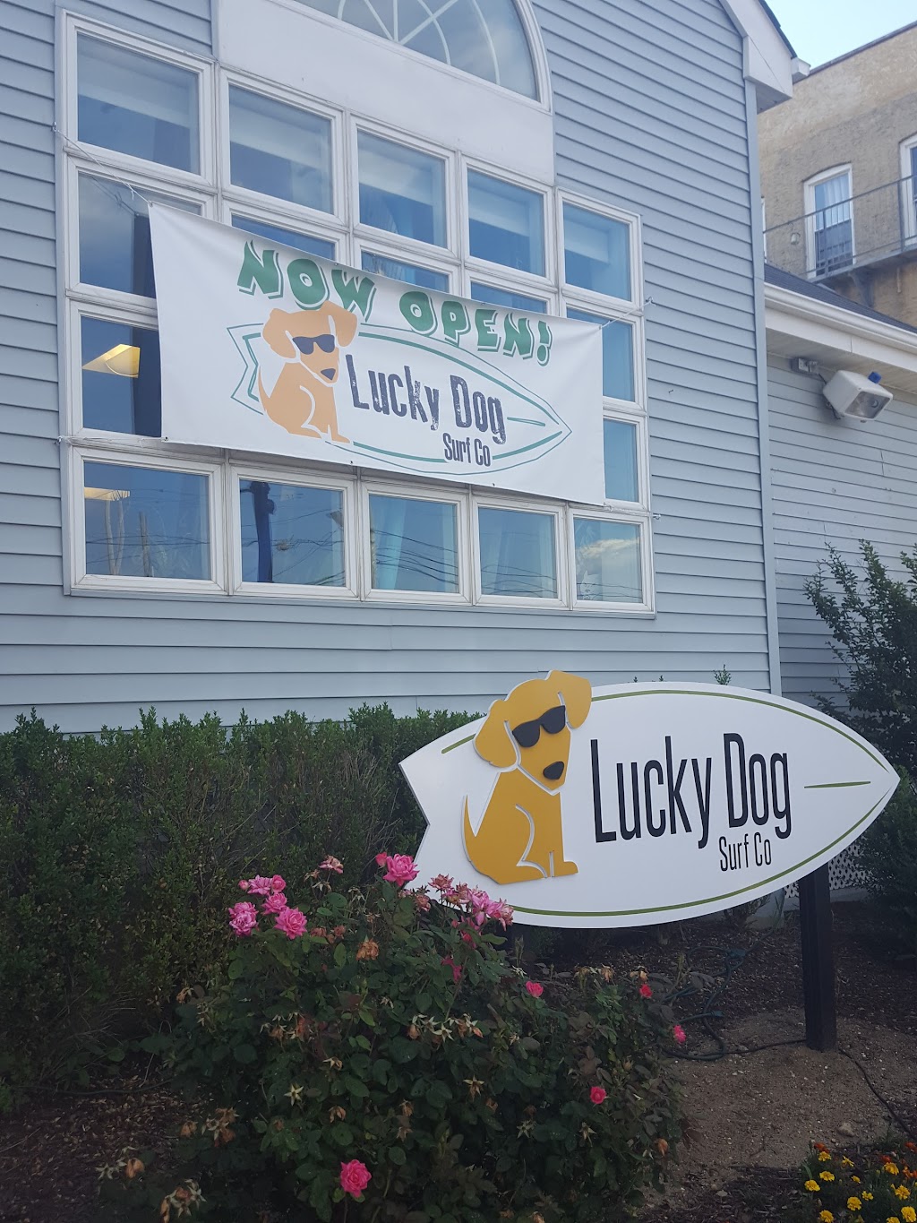 Lucky Dog Surf Co | 1096 Ocean Ave N, Sea Bright, NJ 07760 | Phone: (732) 314-6900