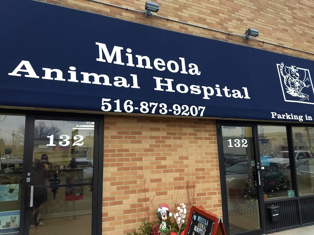 Mineola Animal Hospital | 132 Jericho Turnpike, Mineola, NY 11501 | Phone: (516) 873-9207