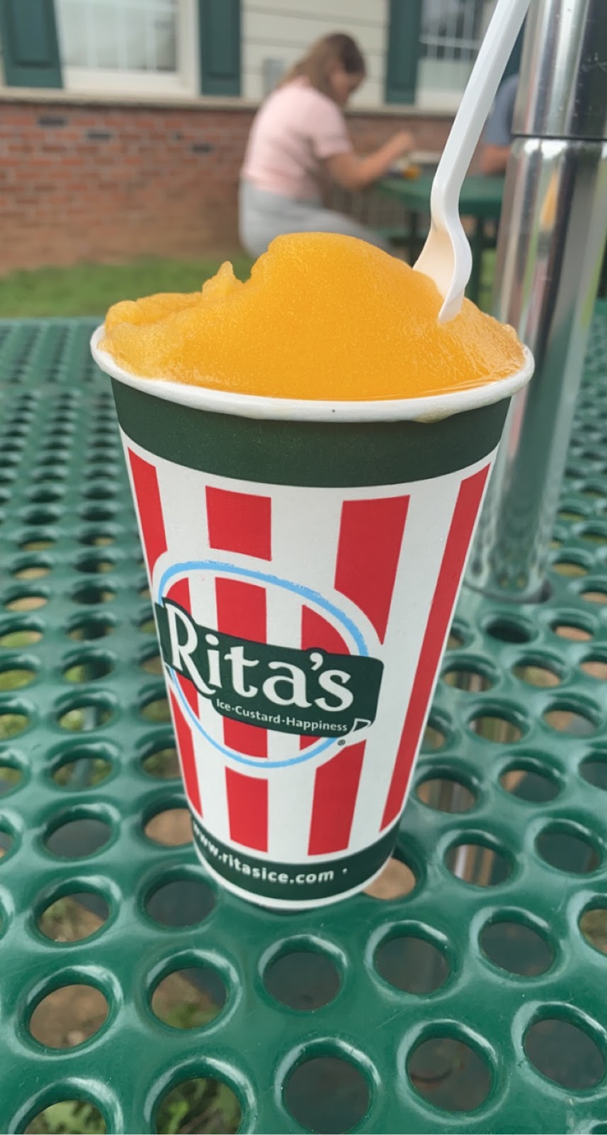 Ritas Italian Ice & Frozen Custard | 381 Triangle Rd Bldg F, Hillsborough Township, NJ 08844 | Phone: (908) 281-7482