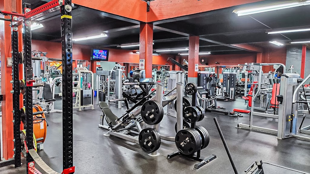 GoToFitness Ultimate Training Center | 1385 Newfield St, Middletown, CT 06457 | Phone: (860) 358-9586