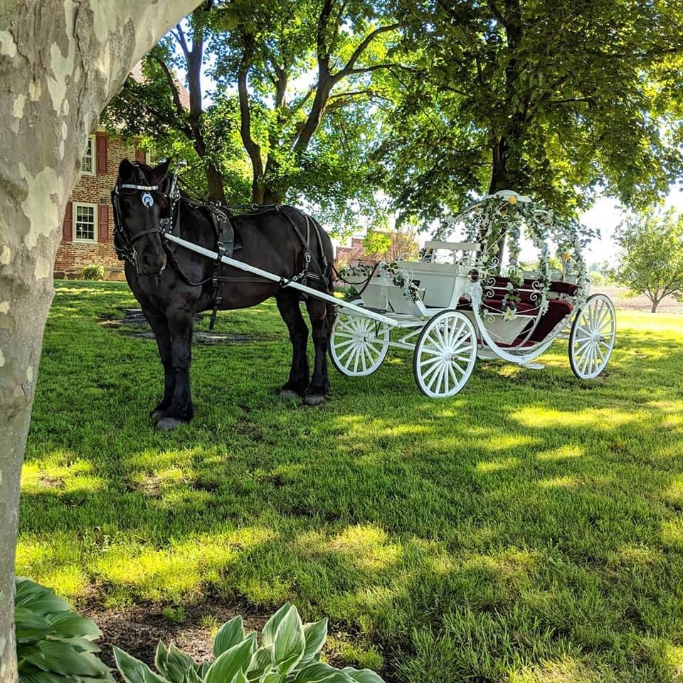 Carriage Rentals By Uptown | 125 Pemberton Rd, Southampton Township, NJ 08088 | Phone: (609) 859-0211