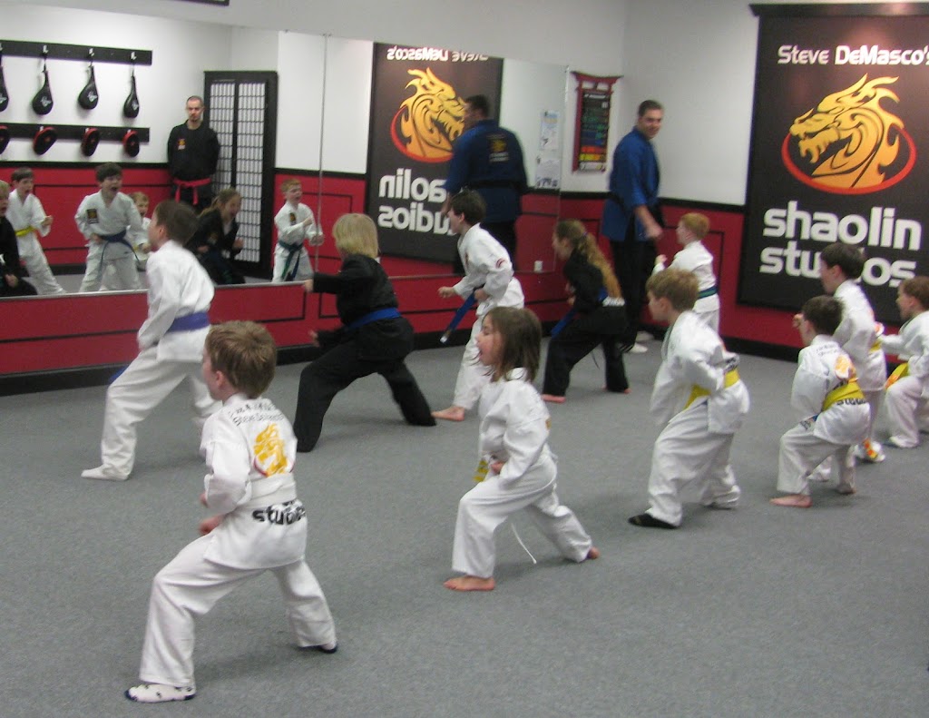 SDSS Martial Arts of Ridgefield | 15 Danbury Rd, Ridgefield, CT 06877 | Phone: (203) 431-5776