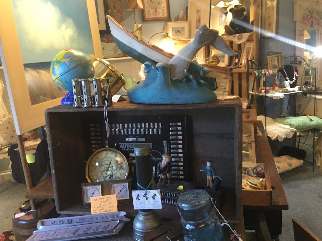 Willy’s Curiosity Shop | 2572 US-9, Ocean View, NJ 08230 | Phone: (609) 214-2079