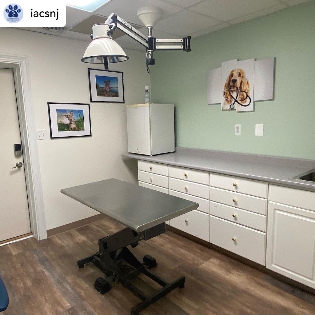 Community Animal Wellness Center by IACS | 151 Walker Ave, West Berlin, NJ 08091 | Phone: (856) 306-8551