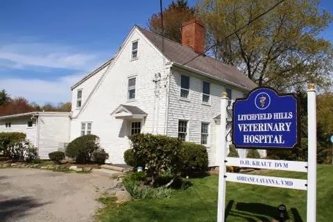 Litchfield Hills Veterinary Hospital | 172 Litchfield Rd, Harwinton, CT 06791 | Phone: (860) 485-1978