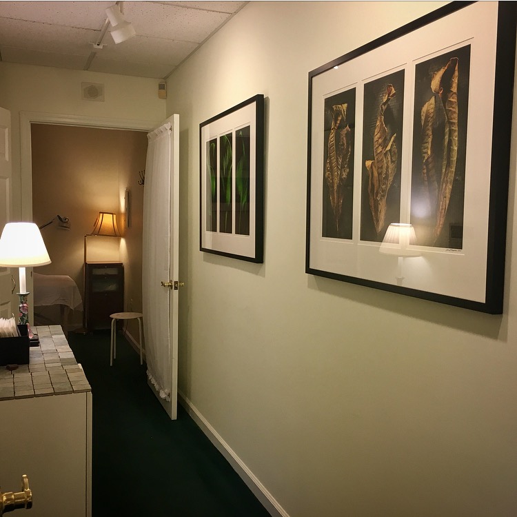 Botjer Acupuncture | 105 Shad Row #1C, Piermont, NY 10968 | Phone: (551) 655-1531