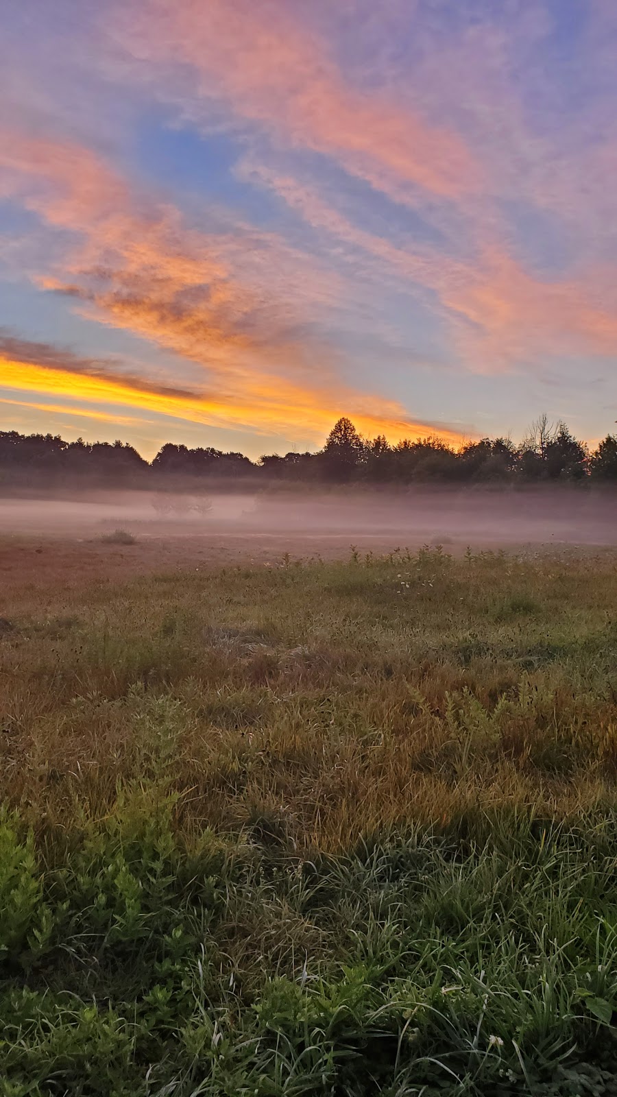 Wilkus Farm Preserved Open Space | 148 Willow St, Wethersfield, CT 06109 | Phone: (860) 436-0143