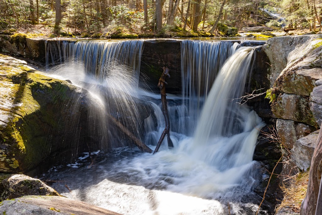 Enders State Forest | Granby, CT 06035 | Phone: (860) 424-3200
