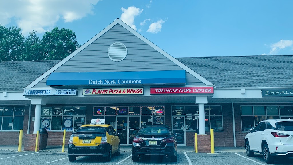 Planet Pizza & Wings | 222 Dutch Neck Rd, East Windsor, NJ 08520 | Phone: (609) 426-1118